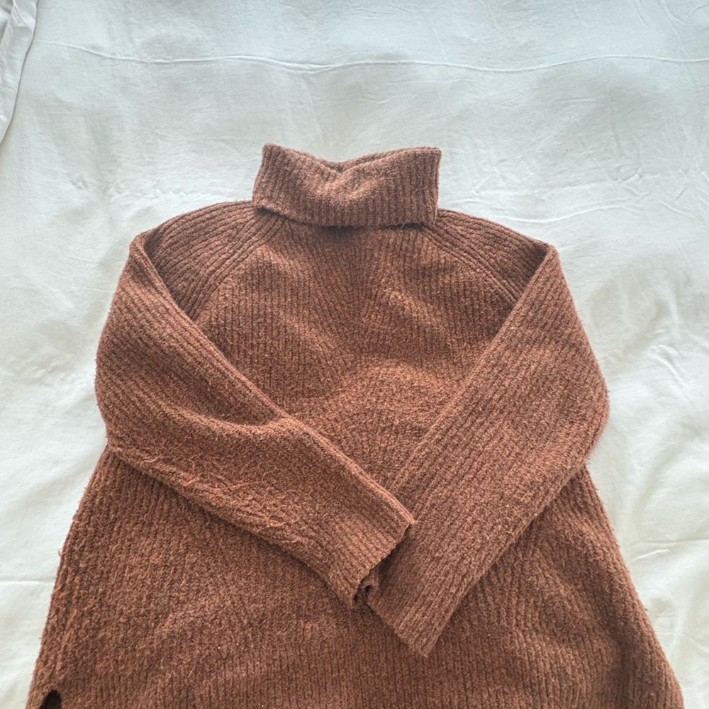 Madewell Rust Turtleneck Sweater